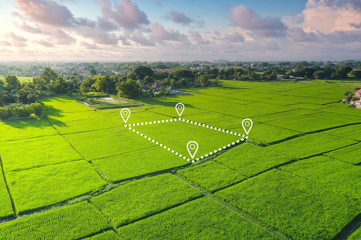 Sphoorthy Green nest